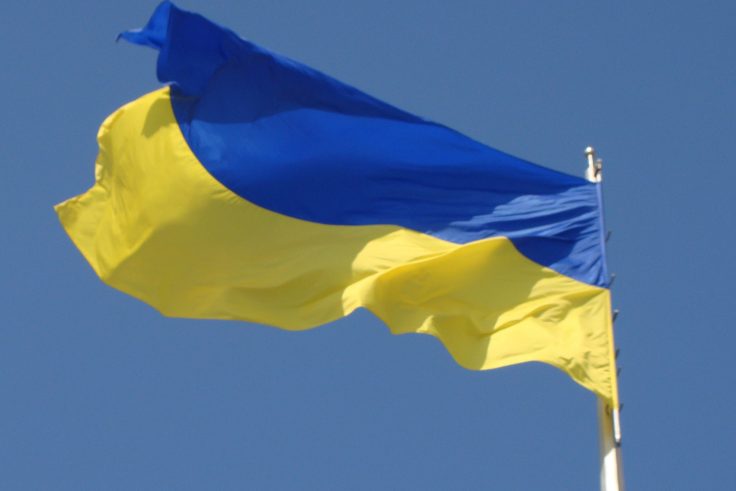 Ukrainian Flag